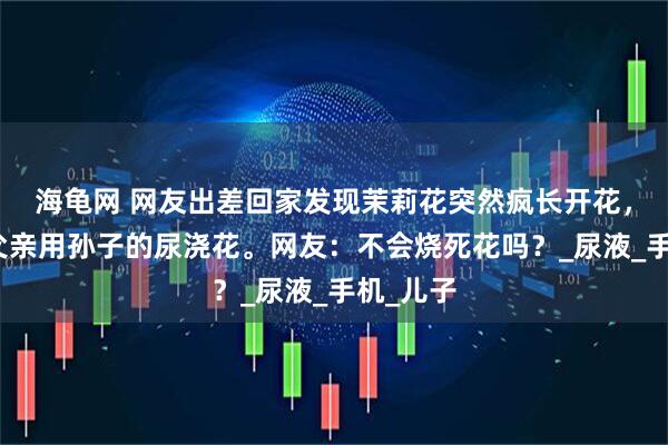 海龟网 网友出差回家发现茉莉花突然疯长开花,原来是父亲用孙子的尿浇花。网友:不会烧死花吗?_尿液_手机_儿子